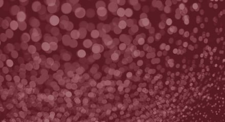 Sparkle lights_maroon